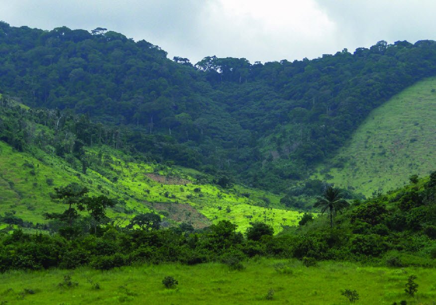 Mayombe Forest, Kouilou & Niari Regions, DR Congo